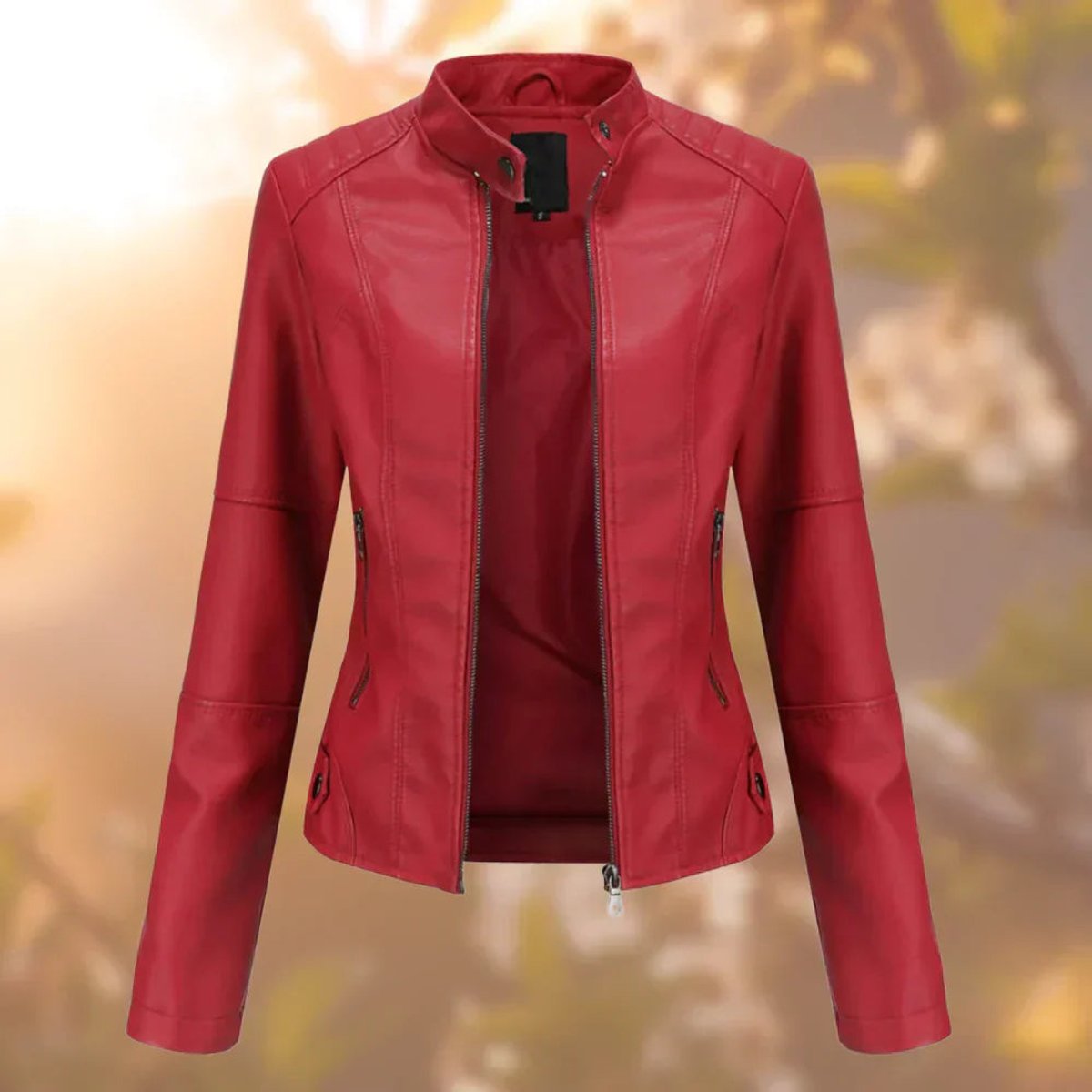 Lauren | Slim Fit Zip Up Moto Jacket
